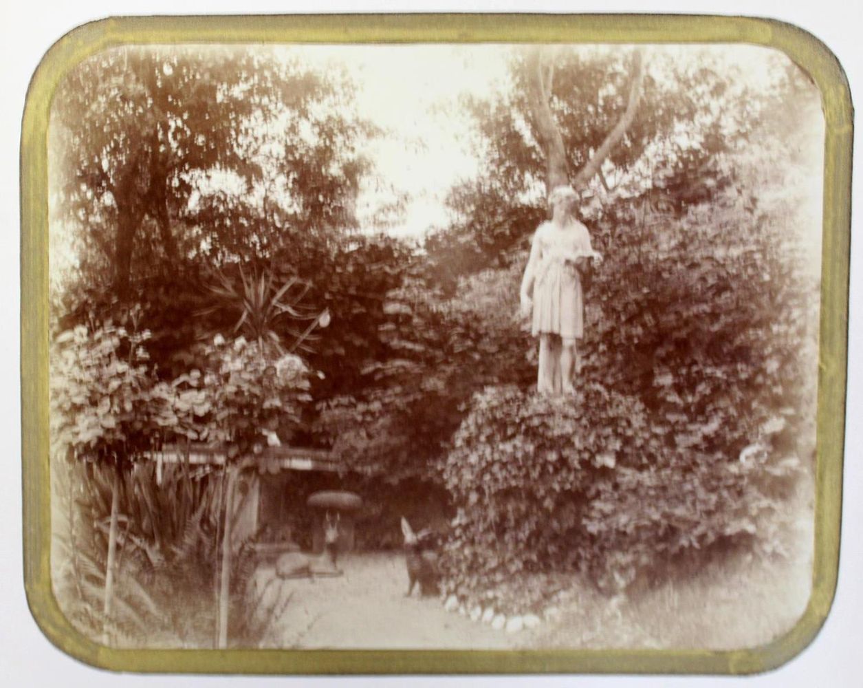 Große Abbildung Nr.1: 126-2621 Stahns,M.: (Photographie)