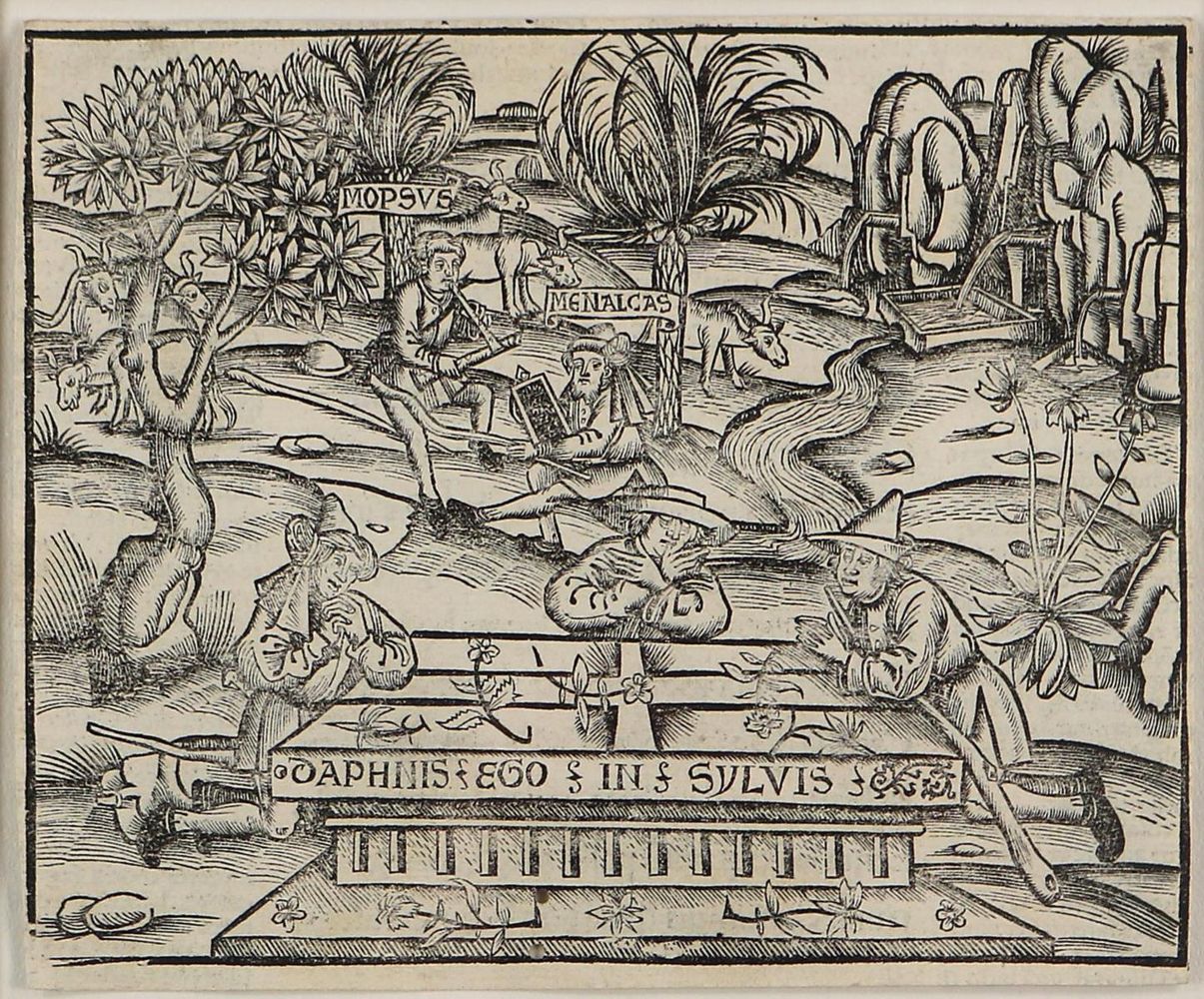 Große Abbildung Nr.1: 126-2674 Brant, Sebastian: (Varia, Buchholzschnitte)