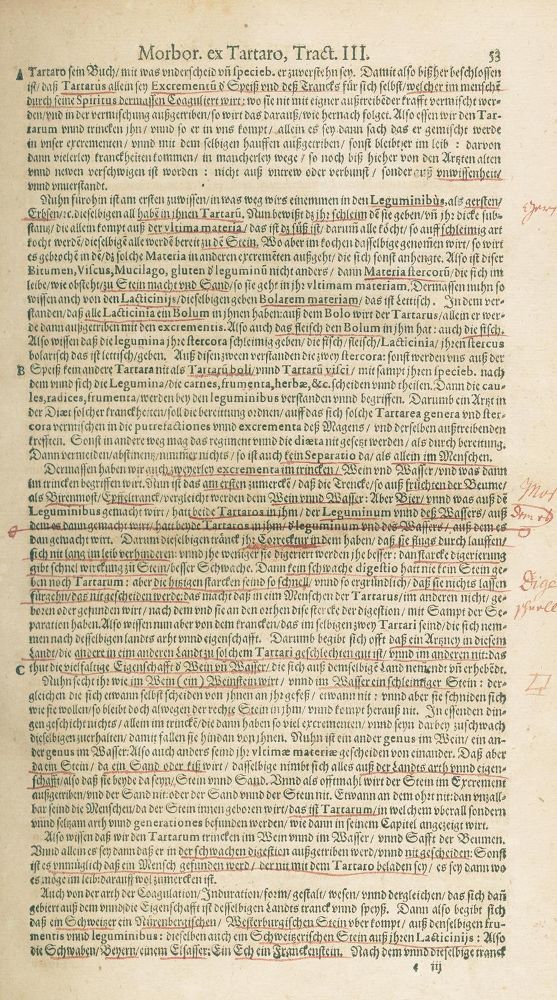 Große Abbildung Nr.2: 126-270 Paracelsus (d.i. T.B.v.Hohenheim).: (Aus der Sammlung Professor Dr.Dr.Johannes Büttner Teil 1)
