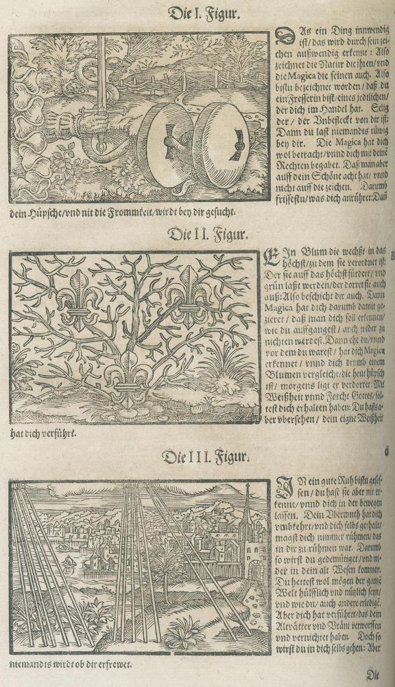 Große Abbildung Nr.3: 126-270 Paracelsus (d.i. T.B.v.Hohenheim).: (Aus der Sammlung Professor Dr.Dr.Johannes Büttner Teil 1)