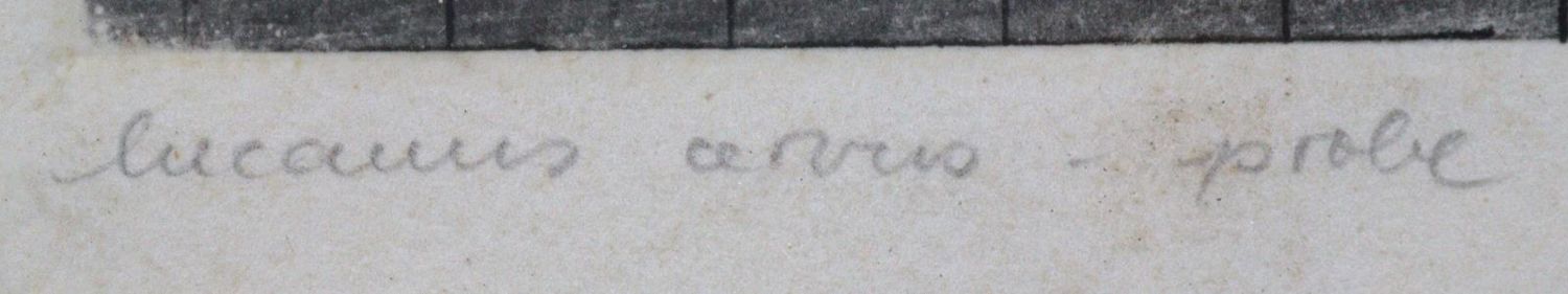 Große Abbildung Nr.33: 126-2727 Konvolut: (Varia)