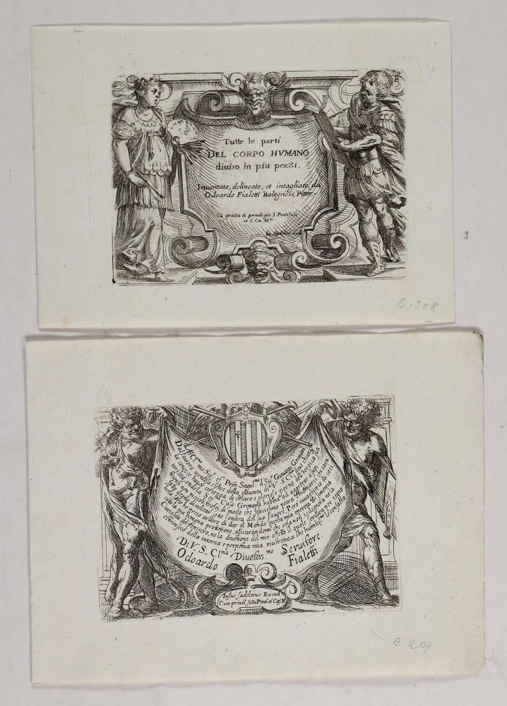 Große Abbildung Nr.2: 126-2742 Sammlung: (Varia, Medizin)