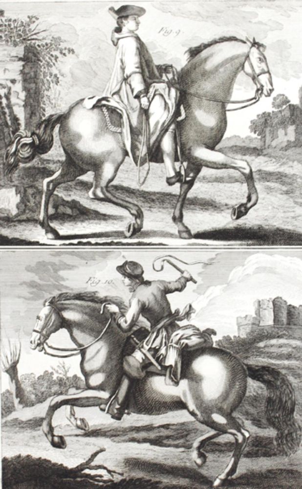 Große Abbildung Nr.1: 126-2768 Diepenbeeck: (Varia, Pferde, Reitschule)
