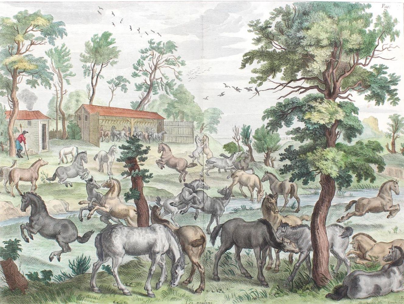 Große Abbildung Nr.2: 126-2768 Diepenbeeck: (Varia, Pferde, Reitschule)