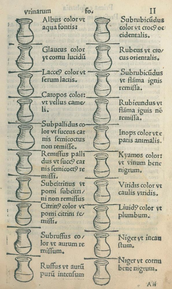 Große Abbildung Nr.2: 126-280 Pinder,U.: (Aus der Sammlung Professor Dr.Dr.Johannes Büttner Teil 1)