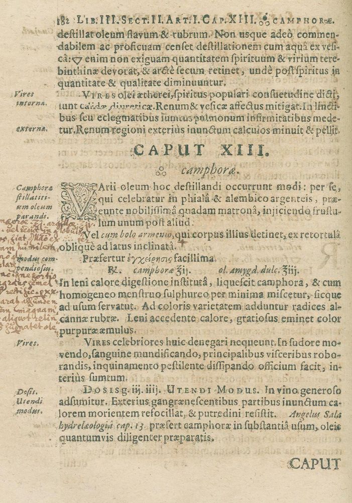 Große Abbildung Nr.2: 126-293 Rolfinck,W.: (Aus der Sammlung Professor Dr.Dr.Johannes Büttner Teil 1)