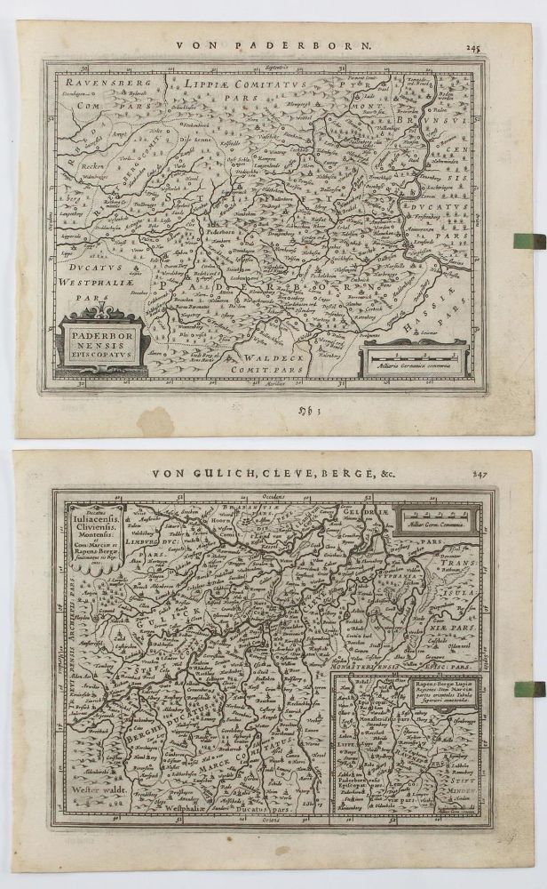 Große Abbildung Nr.3: 126-2949 Monasteriensis espicopatus.: (Deutschland)