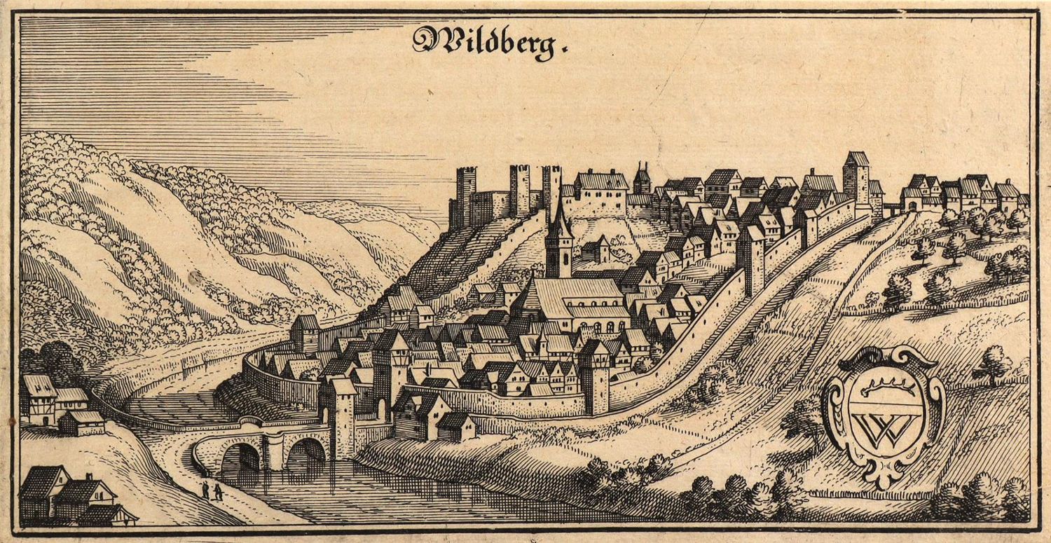 Große Abbildung Nr.1: 126-2995 Wildberg.: (Deutschland)