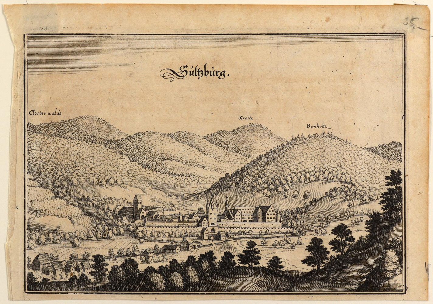 Große Abbildung Nr.2: 126-2995 Wildberg.: (Deutschland)