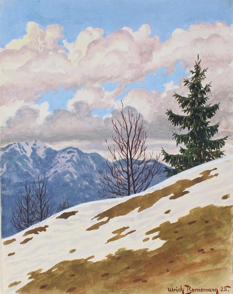 Große Abbildung Nr.1: 126-3006 Bornemann, Ulrich: (Ausland, Alpen)