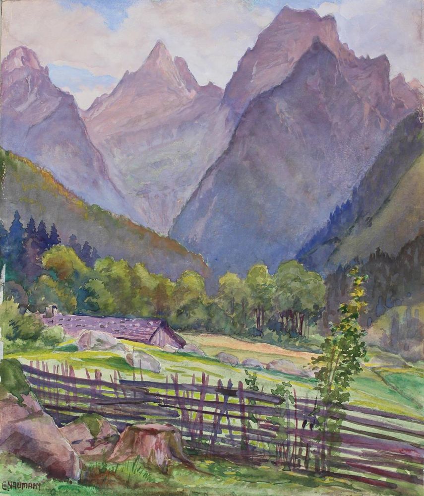 Große Abbildung Nr.1: 126-3007 Naumann, E.: (Ausland, Alpen)