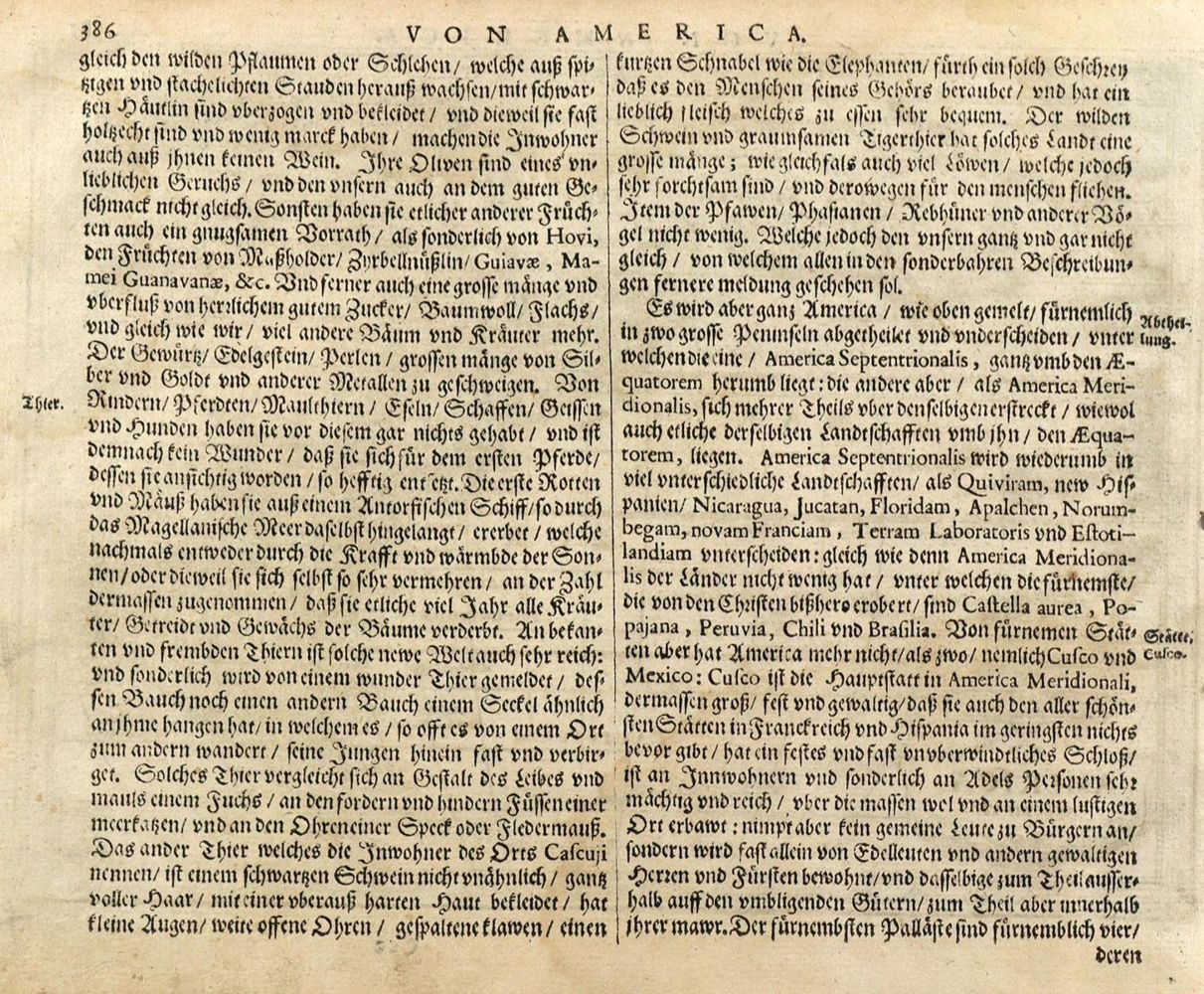 Große Abbildung Nr.2: 126-3011 Americae Descriptio.: (Ausland, America)