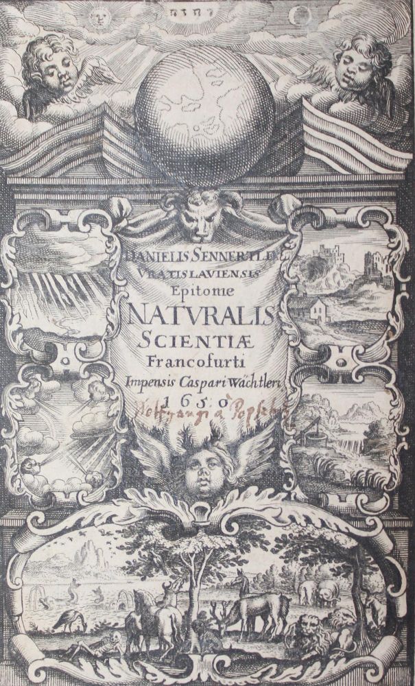 Große Abbildung Nr.1: 126-314 Sennert,D.: (Aus der Sammlung Professor Dr.Dr.Johannes Büttner Teil 1)