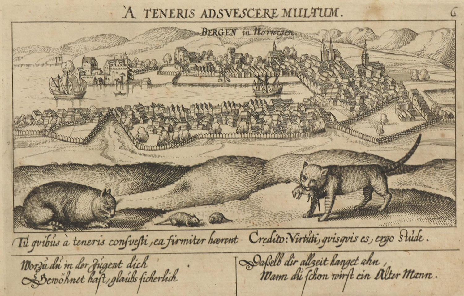 Große Abbildung Nr.1: 126-3149 Bergen.: (Ausland, Norwegen)