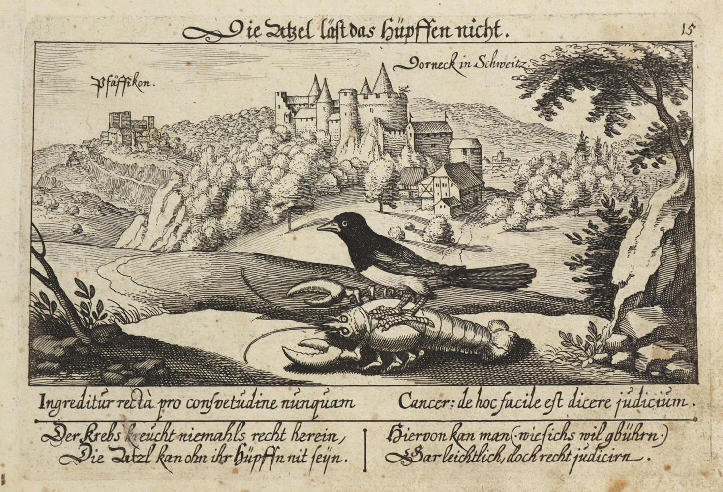 Große Abbildung Nr.1: 126-3210 Dornach.: (Ausland, Schweiz)