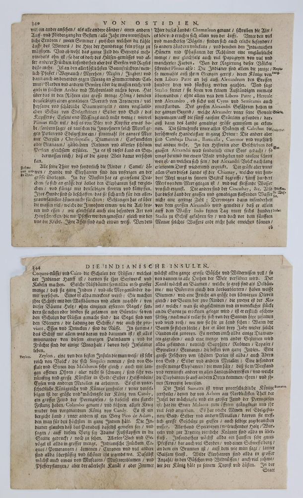 Große Abbildung Nr.3: 126-3268 India orientalis.: (Ausland, Südasien)