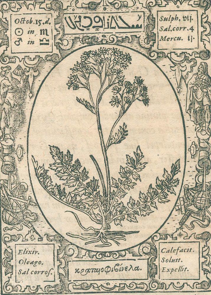 Große Abbildung Nr.2: 126-336 Thurneisser zum Thurn, Leonh.: (Aus der Sammlung Professor Dr.Dr.Johannes Büttner Teil 1)