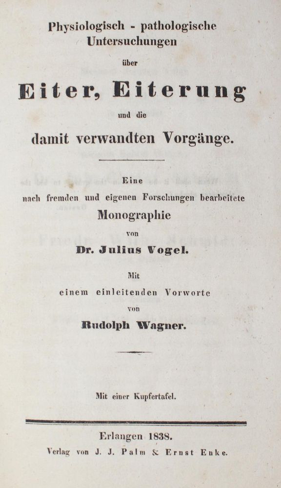 Große Abbildung Nr.1: 126-358 Vogel,J.: (Aus der Sammlung Professor Dr.Dr.Johannes Büttner Teil 1)