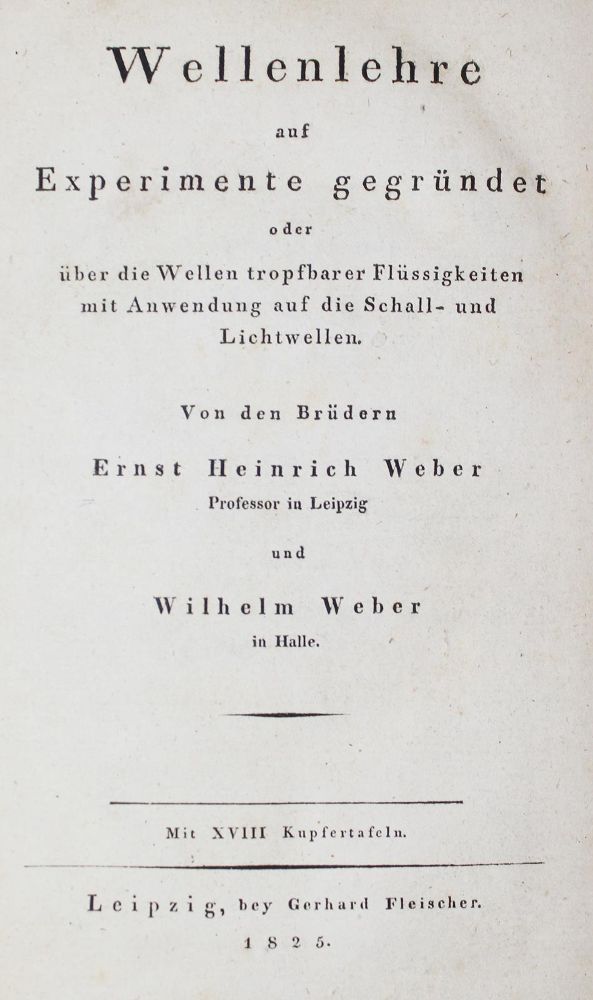 Große Abbildung Nr.1: 126-361 Weber,E.H. u. W.: (Aus der Sammlung Professor Dr.Dr.Johannes Büttner Teil 1)