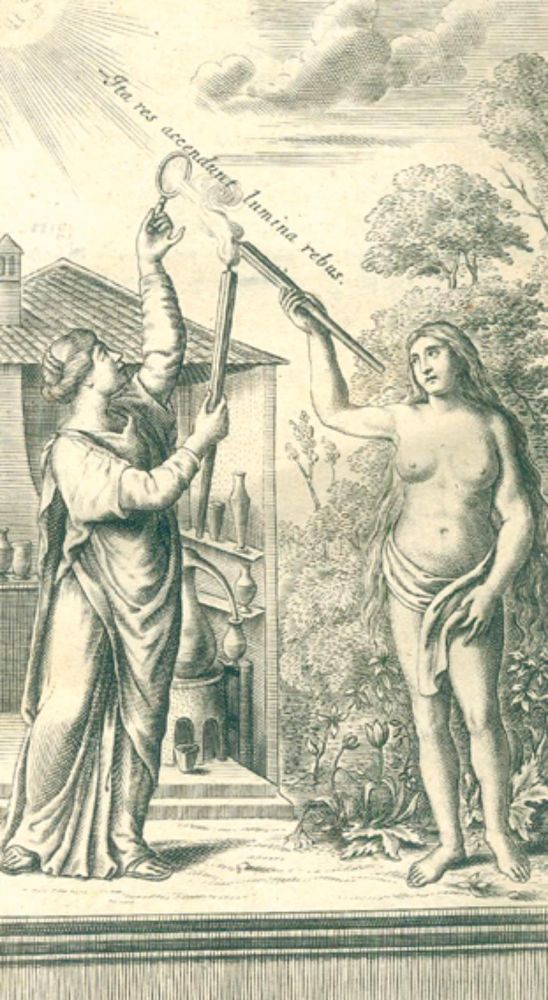 Große Abbildung Nr.1: 126-371 Willis,T.: (Aus der Sammlung Professor Dr.Dr.Johannes Büttner Teil 1)