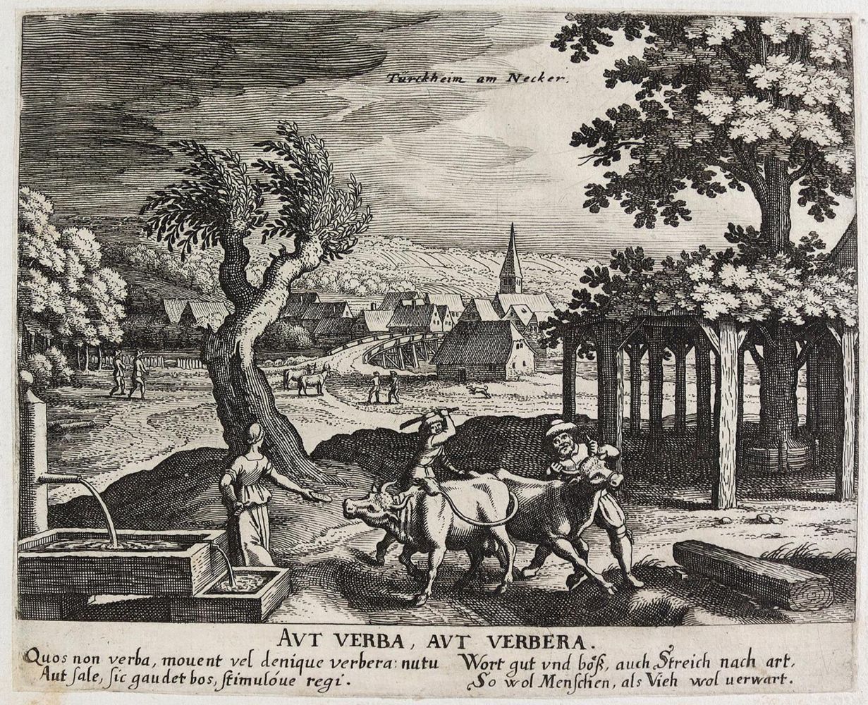 Große Abbildung Nr.1: 126-4004 Merian, Matthäus: (Künstlergraphik)