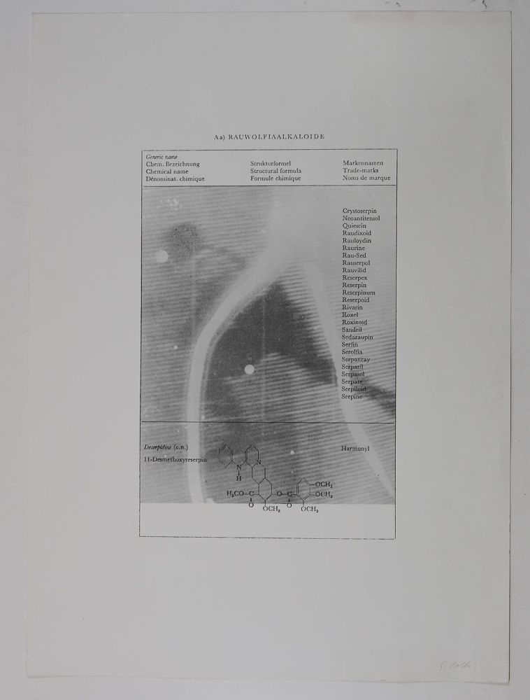 Große Abbildung Nr.1: 126-4165 Polke, Sigmar: (Künstlergraphik)