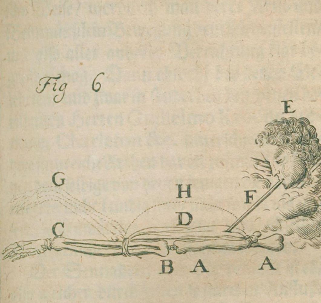 Große Abbildung Nr.1: 126-44 Blankaart,S.: (Aus der Sammlung Professor Dr.Dr.Johannes Büttner Teil 1)