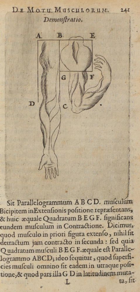 Große Abbildung Nr.1: 126-70 Charleton,(W.),: (Aus der Sammlung Professor Dr.Dr.Johannes Büttner Teil 1)