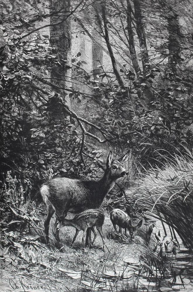 Große Abbildung Nr.1: 126-872 Corneli,R.: (Jagd)