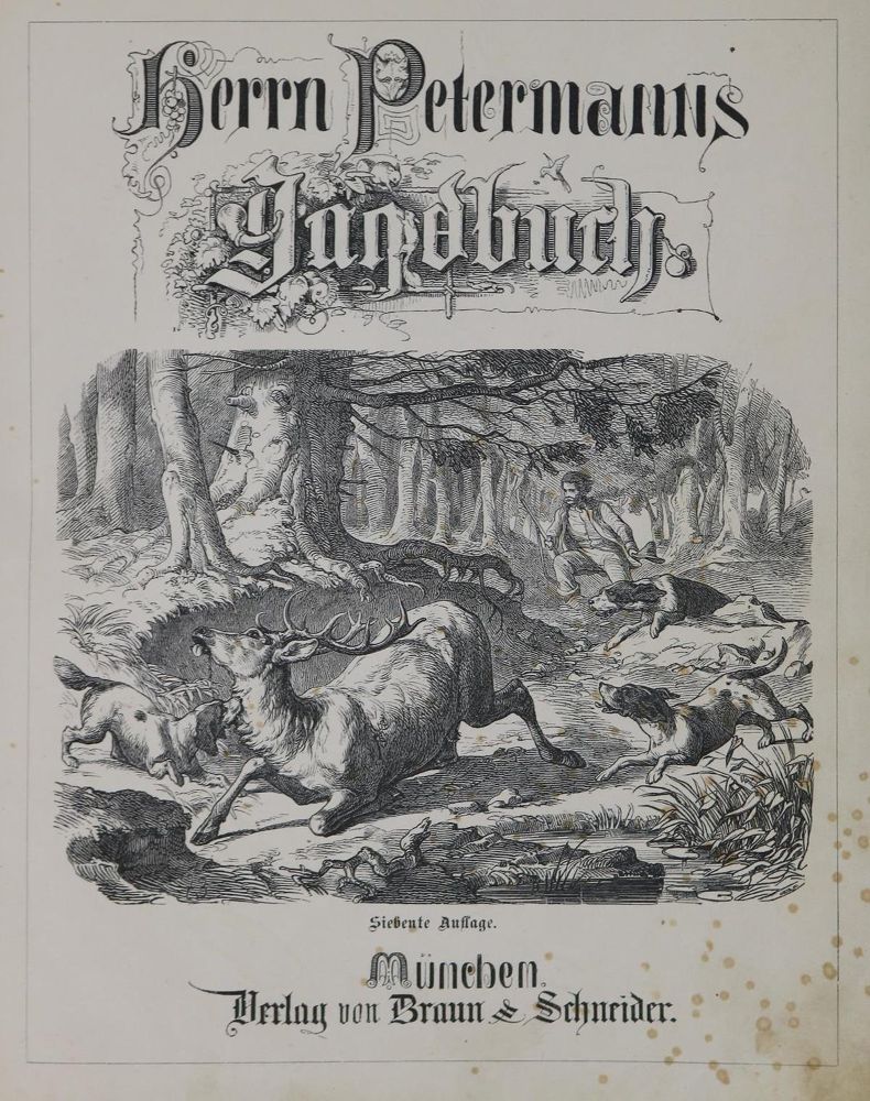 Große Abbildung Nr.1: 126-873 (Haider,M.).: (Jagd)