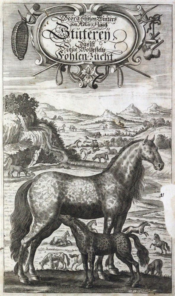 Große Abbildung Nr.1: 126-940 Winter (v.Adlersflügel),G.S.: (Land- und Forstwirtschaft, Tierhaltung, Pferde)