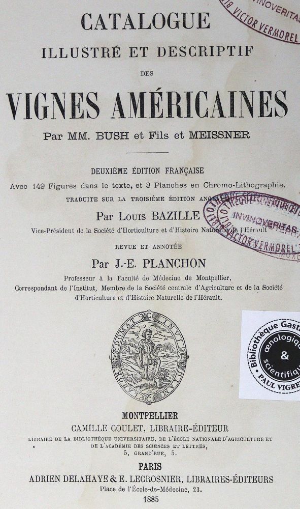 Große Abbildung Nr.2: 126-941 Bush,(I.) u. (G.E.)Meissner.: (Land- und Forstwirtschaft, Wein und Weinbau, Amerika)