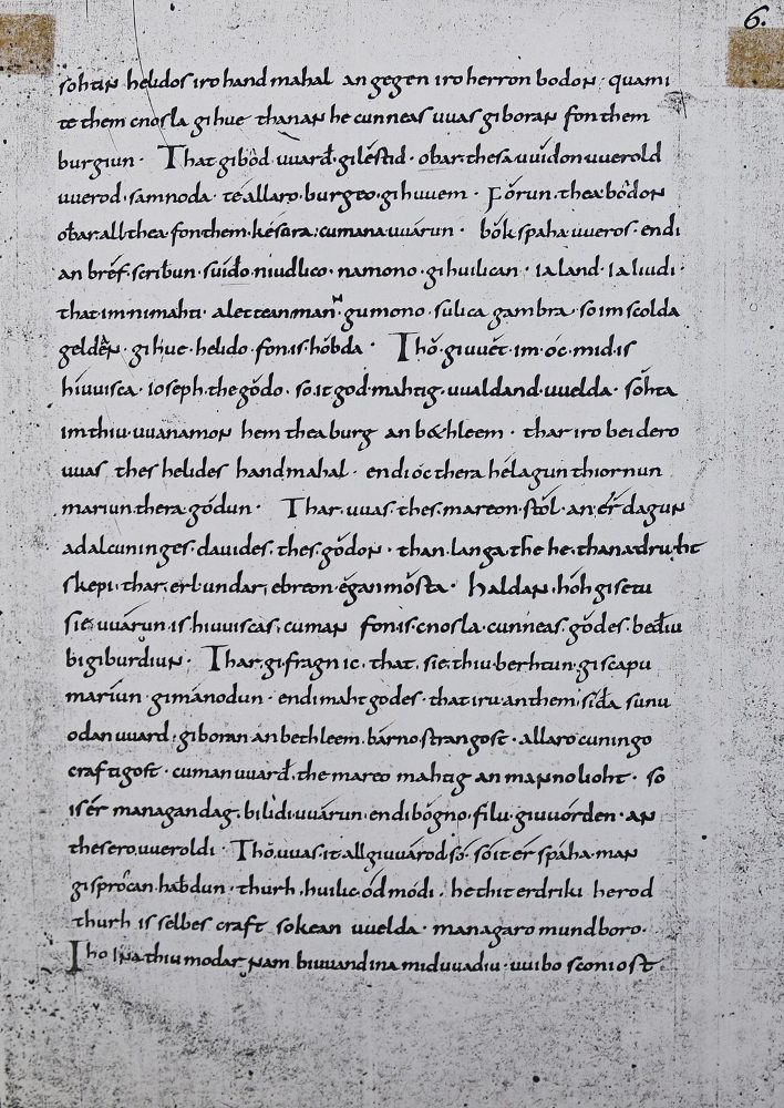 Große Abbildung Nr.2: 126-986 Konvolut: (Kunstwissenschaft)