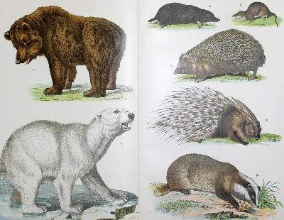 Bild Nr.1: 126-1197 Walther,E.: (Kinder- und Jugendbücher)