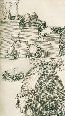 Bild Nr.3: 126-125 G(laser),C.: (Aus der Sammlung Professor Dr.Dr.Johannes Büttner Teil 1)