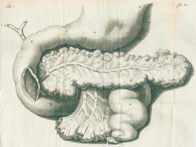 Bild Nr.1: 126-135 Graaf,R.de.: (Aus der Sammlung Professor Dr.Dr.Johannes Büttner Teil 1)