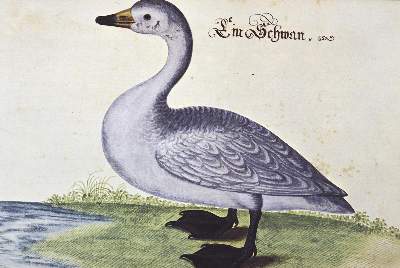 Bild Nr.43: 126-1506 Rückgänge: (Literatur und illustrierte Bücher 20.Jahrhundert - Alte Literatur in modernen Ausgaben)