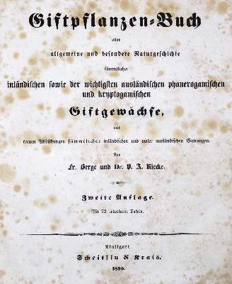 Bild Nr.2: 126-1532 Berge,F. u. V.A.Riecke.: (Botanik)