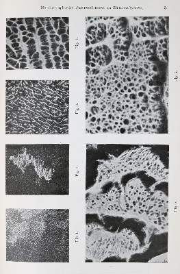 Bild Nr.2: 126-1579 Delondre,A. u. A.Bouchardat.: (Medizin, Pharmazie)