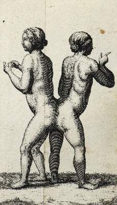 Bild Nr.4: 126-1595 Linné,C.v.: (Zoologie)