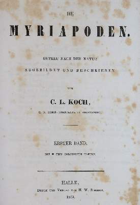 Bild Nr.1: 126-1597 Koch,C.L.: (Zoologie, Tausendfüßler)