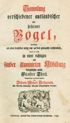 Bild Nr.5: 126-1603 Seligmann,J.M.: (Zoologie, Vögel)