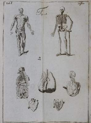 Bild Nr.1: 126-1606 Anfangsgründe: (Verschiedene Gebiete - Varia)