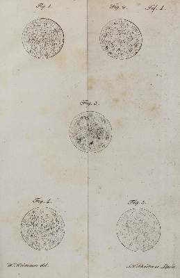 Bild Nr.1: 126-165 Hildebrandt,F.: (Aus der Sammlung Professor Dr.Dr.Johannes Büttner Teil 1)