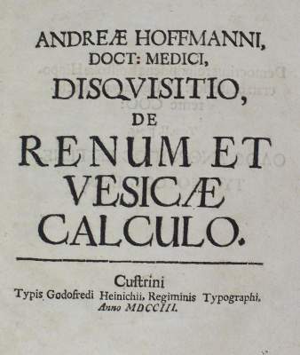 Bild Nr.1: 126-167 Hoffmann,A.: (Aus der Sammlung Professor Dr.Dr.Johannes Büttner Teil 1)