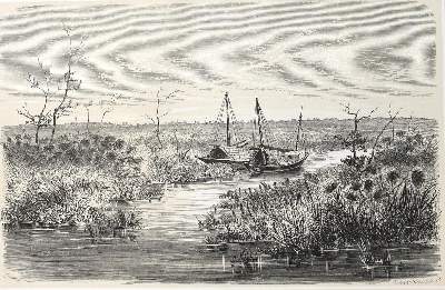 Bild Nr.2: 126-1725 Heuglin,M.T.v.: (Afrika)