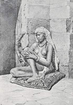 Bild Nr.3: 126-1729 Junker,W.: (Afrika)