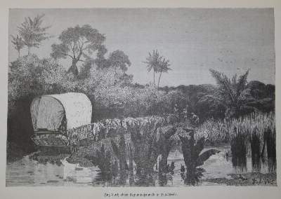 Bild Nr.2: 126-1735 Roskoschny,H.: (Afrika)