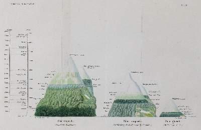 Bild Nr.1: 126-1741 Humboldt,A.v.: (Amerika)