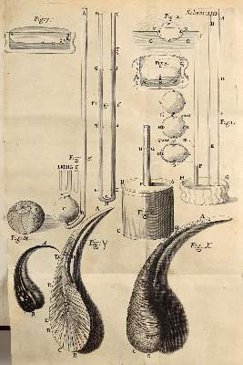 Bild Nr.8: 126-176 Hooke,R. (Aus der Sammlung Professor Dr.Dr.Johannes Büttner Teil 1)